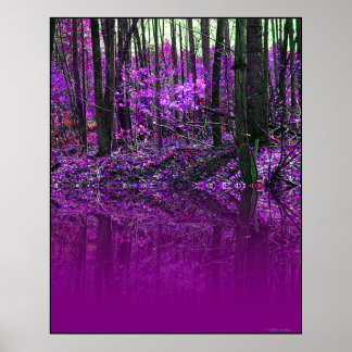 Lila Reflection Poster
