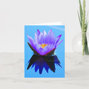 Lila reflektierte Seerosen-Grußkarten Karte