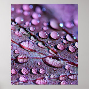 Lila Regenplakat Poster