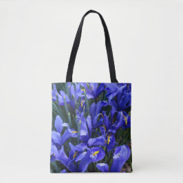 Lila Reticulated Irises Floral