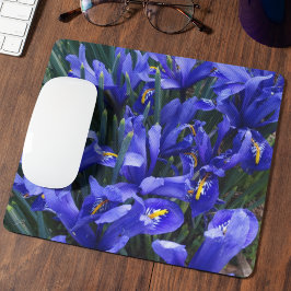 Lila Reticulated Irises Floral Mousepad