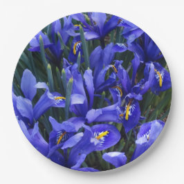 Lila Reticulated Irises Floral Pappteller