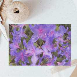 Lila Rhododendron Blume Seidenpapier