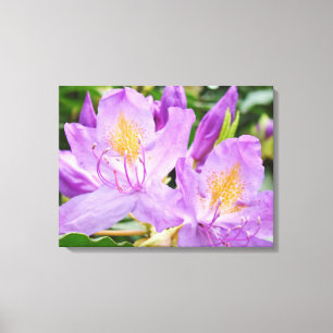 Lila Rhododendrons Canvas druckt Bloral Leinwanddruck