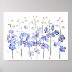 lila Rittersporn Delphinium Feld Aquarell Poster