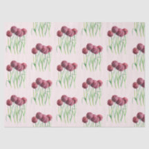 Lila Rosa Allium Blume Aquarellbilder