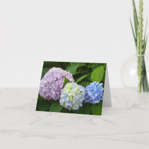 Lila rosa Blume elegante Hydrangeas Karte