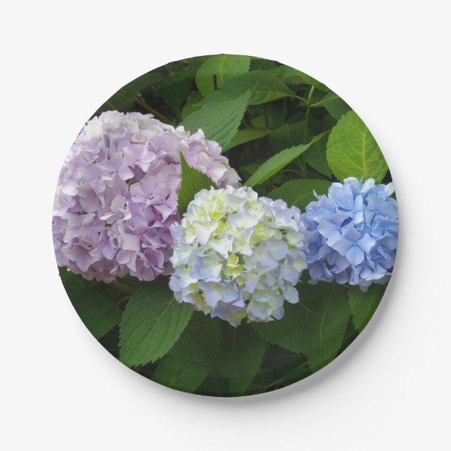 Lila rosa Blume elegante Hydrangeas Pappteller (Vorderseite)