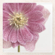 Lila rosa Blume Glass Untersetzer