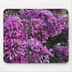 Lila rosa Flieder romantisches rosa Blumenfoto Mousepad