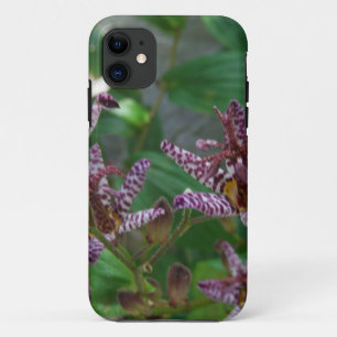 Lila, rosa gestreifte Orchidee wie Blume iPhone 11 Hülle