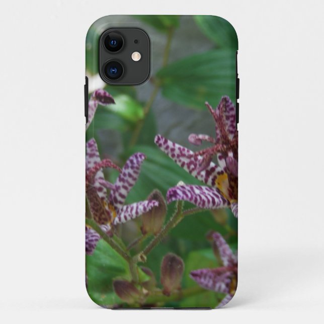 Lila, rosa gestreifte Orchidee wie Blume Case-Mate iPhone Hülle (Rückseite)