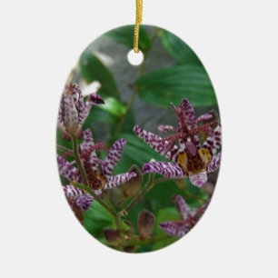 Lila, rosa gestreifte Orchidee wie Blume Keramik Ornament