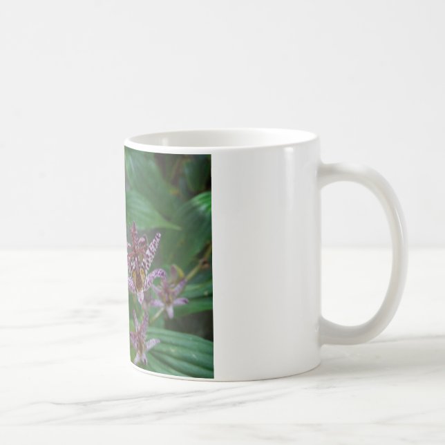 Lila, rosa gestreifte Orchidee wie Blume Tasse (Rechts)