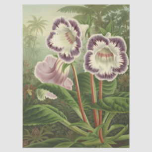 Lila Rosa Gloxinie Botanische Florale Tropische Ku Seidenpapier