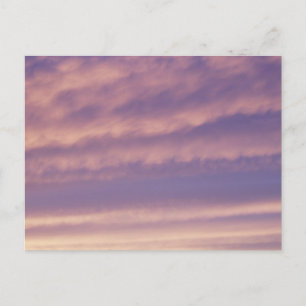 Lila Rosa Himmel Postkarte