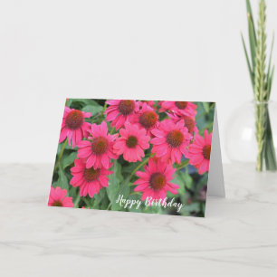 Lila Rosa Sonnenhut Geburtstag Karte