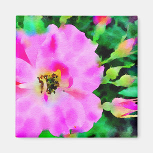 Lila rosa Wasserfarbe Sommerfarbe Rose Magnet