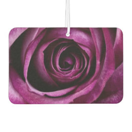 lila Rose Autolufterfrischer