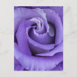 Lila Rose Blumenkarte Postkarte