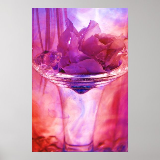 lila Rose Poster (Vorne)