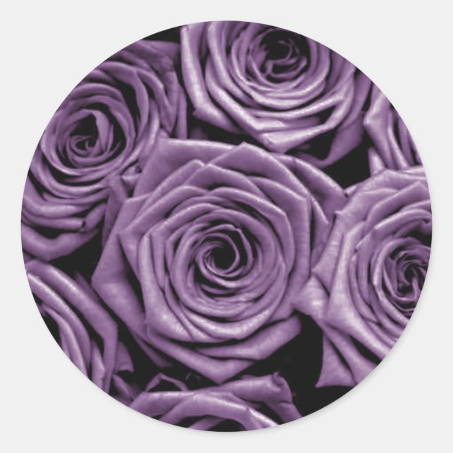 Lila Rose Runder Aufkleber (Vorderseite)