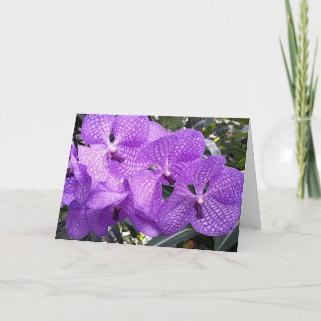 Lila Ruhm in Giverny, Frankreich Karte (Vorderseite)