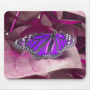 Lila Schmetterling Mousepad