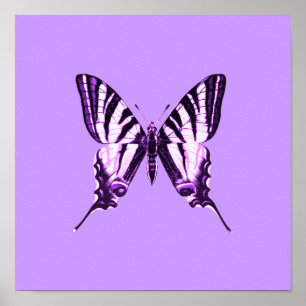 Lila Schmetterling Poster
