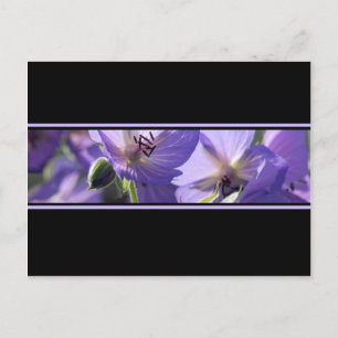 Lila schwarz-weiße Postkarte mit Blumenmuster