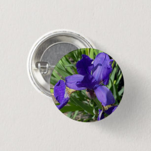 Lila Schwertlilie-Blumenfotografie Foto Pin Button