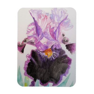 Lila Schwertlilie Kunst Florale Blumen Wasserfarbe Magnet