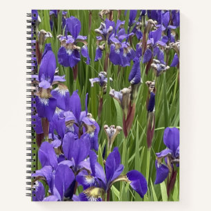 Lila Schwertlilien-Blumen Natur Pflanzen Fotografi Notizbuch