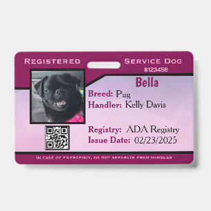 Lila Service-Hund-ID Ausweis