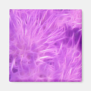 Lila Shades-Blume verändert Magnet