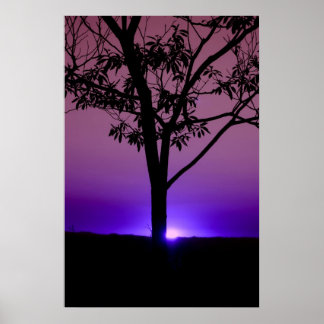 Lila Sky Poster