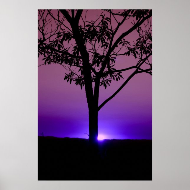 Lila Sky Poster (Vorne)