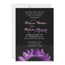 Lila Sonnenblume, die Ver 002 Wedding ist