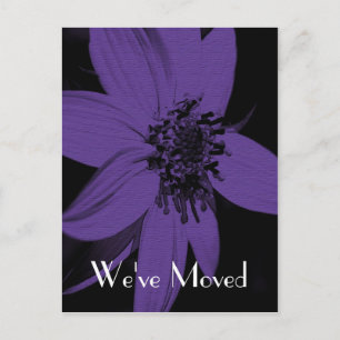 Lila Sonnenblume Neue Adresse Florenz Kunst, Dicht Ankündigungspostkarte