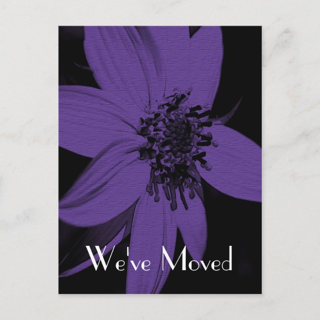 Lila Sonnenblume Neue Adresse Florenz Kunst, Dicht Ankündigungspostkarte (Vorderseite)