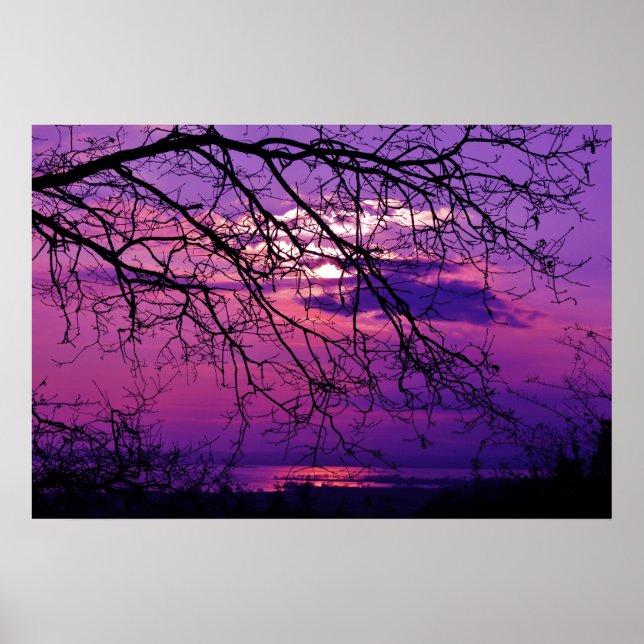 Lila Sonnenuntergang Poster (Vorne)