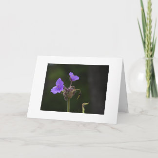 Lila Spinnenkraut-Wildblumen-Karte leer Karte