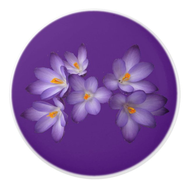 Lila Spring Crocus Blume Keramik Knochen Keramikknauf (Vorderseite)
