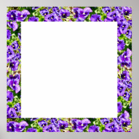 Lila Stiefmütterchen Bilderrahmen, Poster