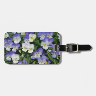 Lila Stiefmütterchen Garten Blumen Gepäckanhänger