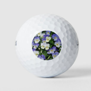 Lila Stiefmütterchen Garten Blumen Golfball