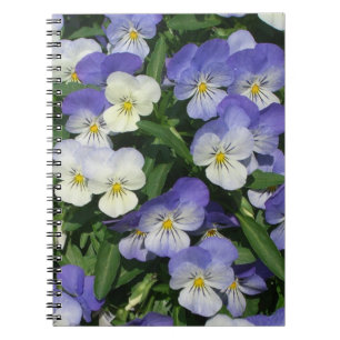 Lila Stiefmütterchen Garten Blumen Notizblock