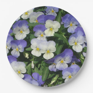 Lila Stiefmütterchen Garten Blumen Pappteller