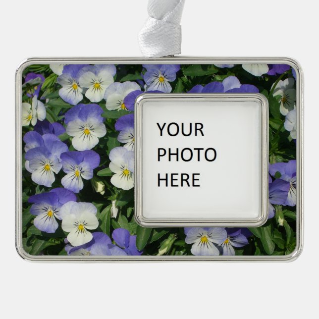 Lila Stiefmütterchen Garten Blumen Rahmen-Ornament Silber (Vorderseite)