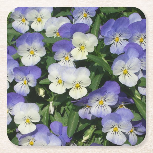 Lila Stiefmütterchen Garten Blumen Rechteckiger Pappuntersetzer (Vorderseite)